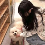梦幻诛仙单机版直装版下载